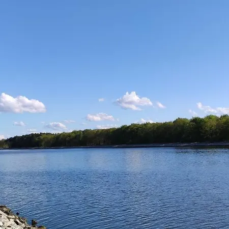 Проживание в семье De