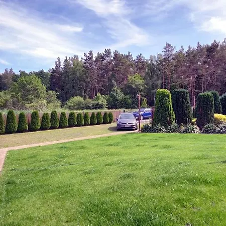 Проживание в семье De *