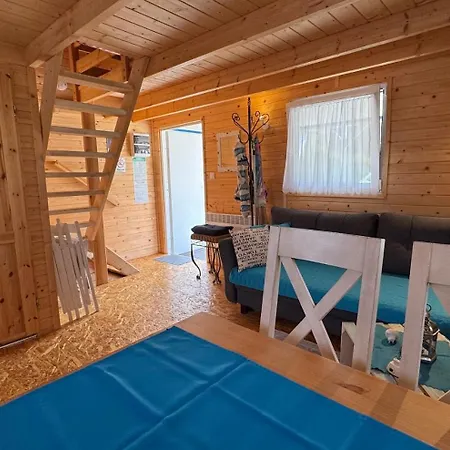 Проживание в семье De