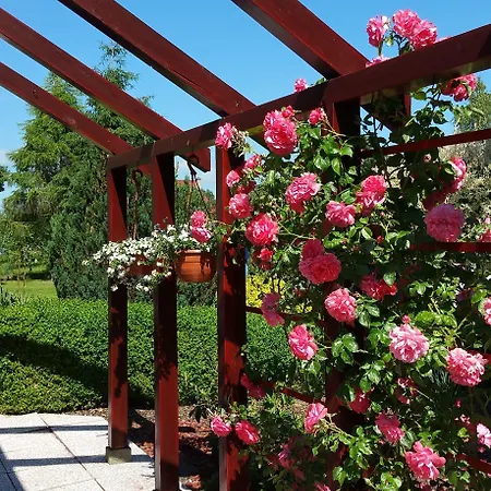 De Проживание в семье