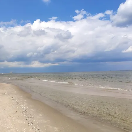 De Проживание в семье *